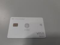CS447/2024  CARTA DI CREDITO BIANCA &quot;VISA&quot;
